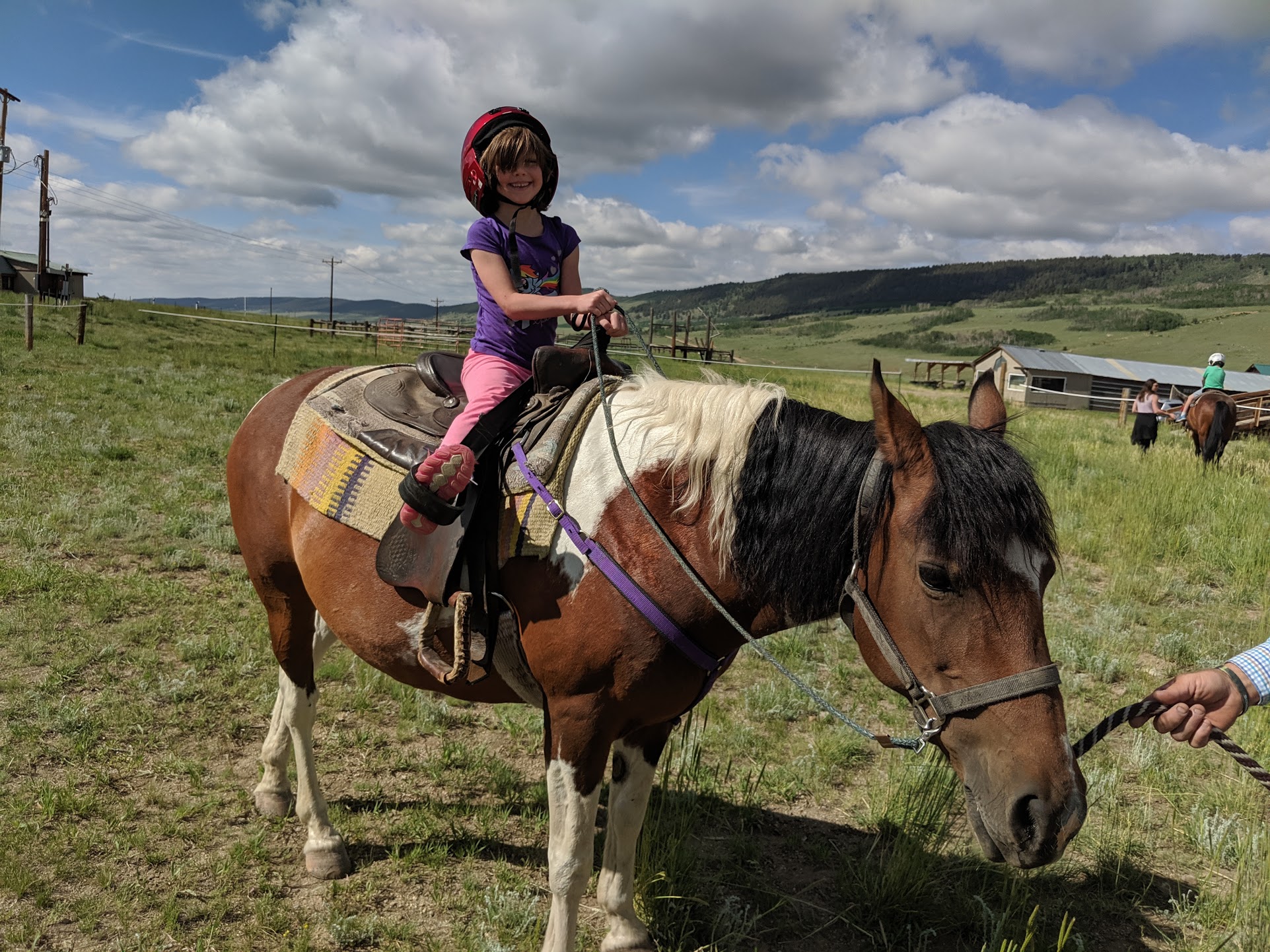 19 July – Camp Swing and Horses