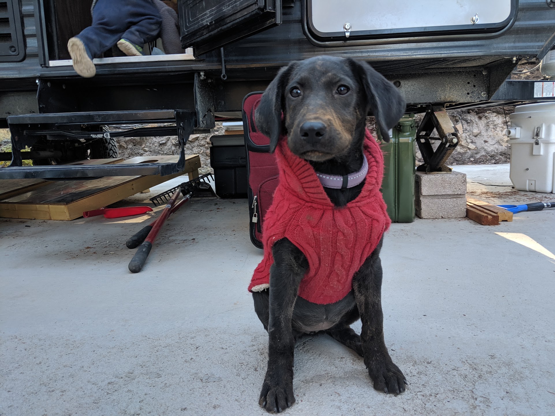 19 Jan –  New Puppy Camping