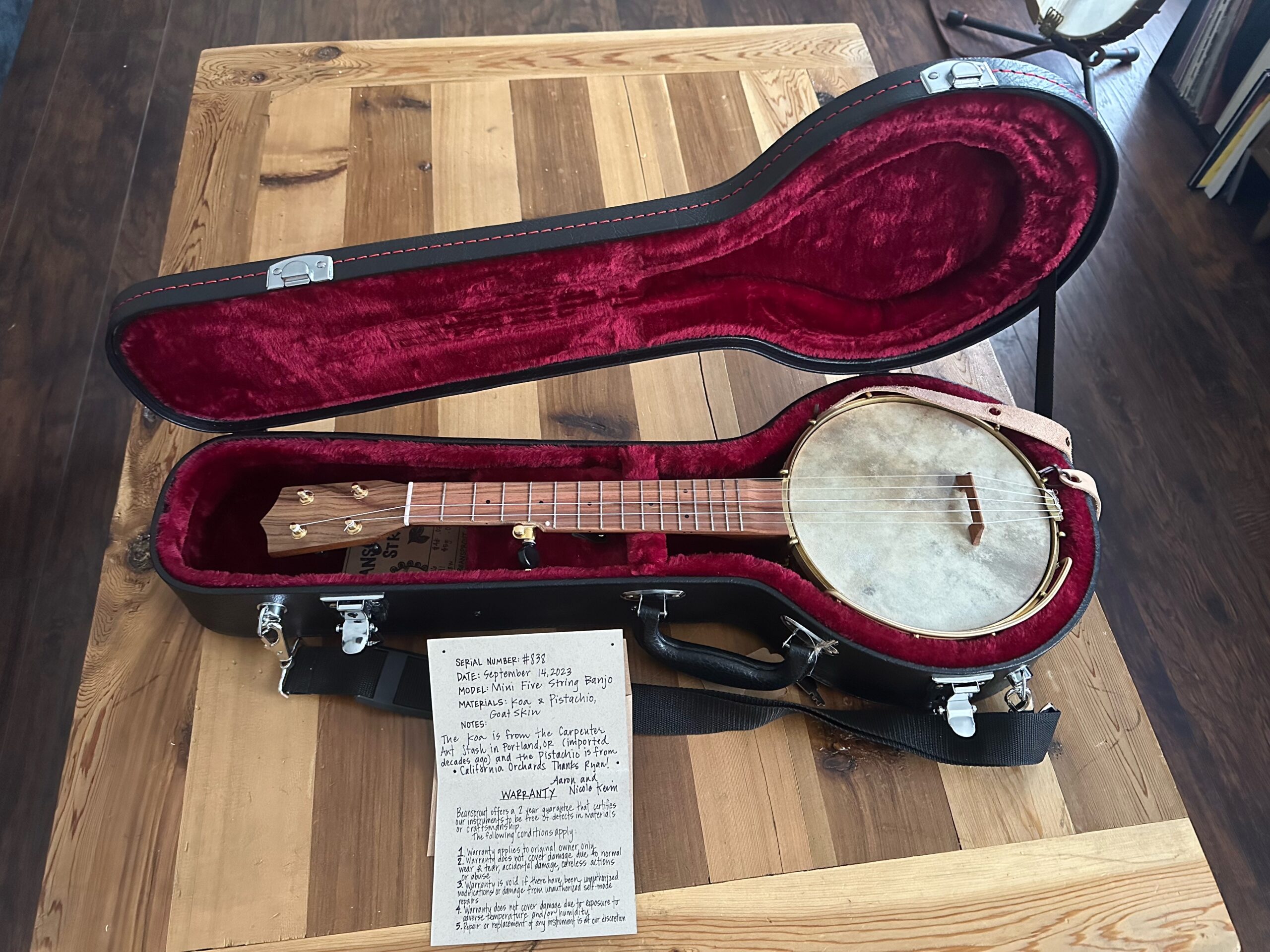 Beansprout Mini 5 String Banjo